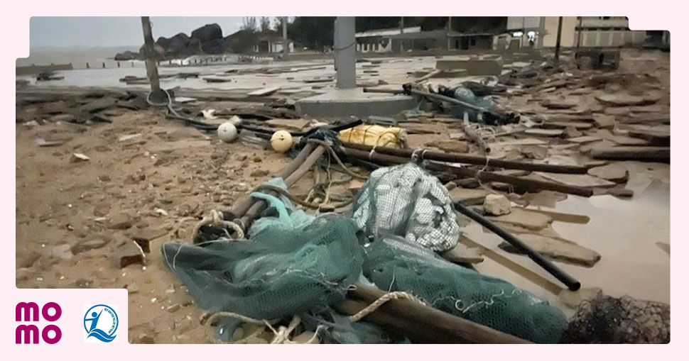 Chung sức Xây Tết Hồng 2026 hỗ trợ đồng bào sau bão lũ - 1