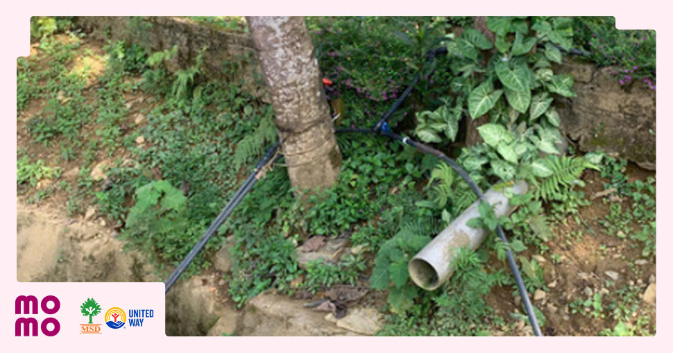 Trường phải dùng nước từ khe suối để nấu ăn