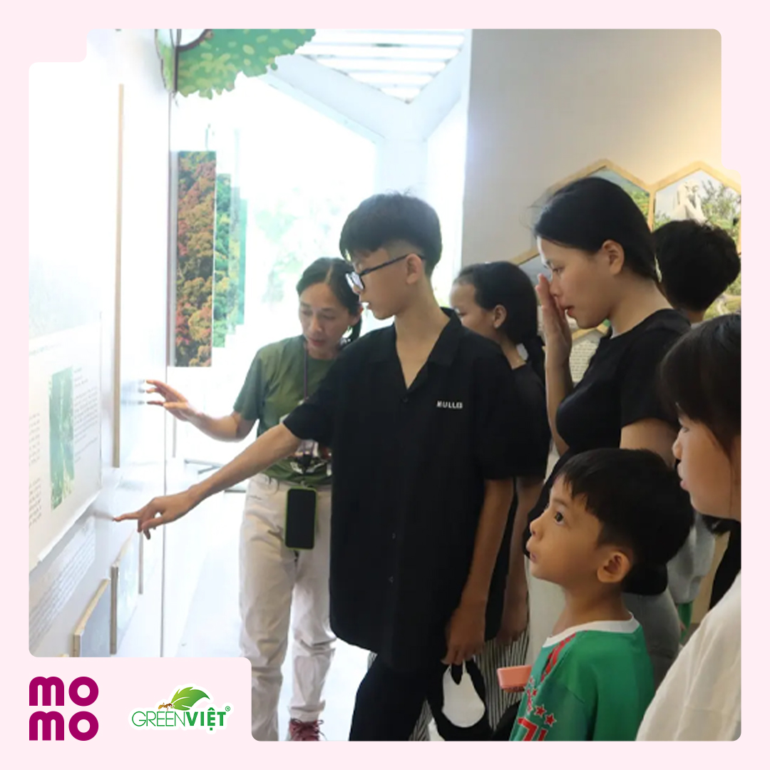 Tổ chức hành trình thiên nhiên cho 12 em nhỏ của Trung Tâm Bảo Trợ Trẻ Em Đường Phố Đà Nẵng