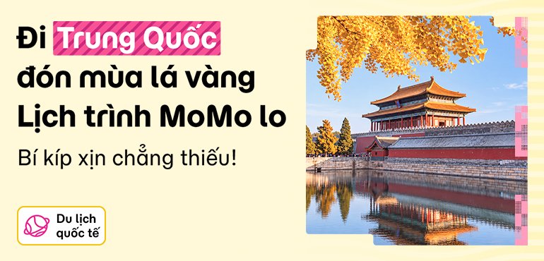 Khám phá mùa lá vàng Trung Quốc cùng MoMo Travel!