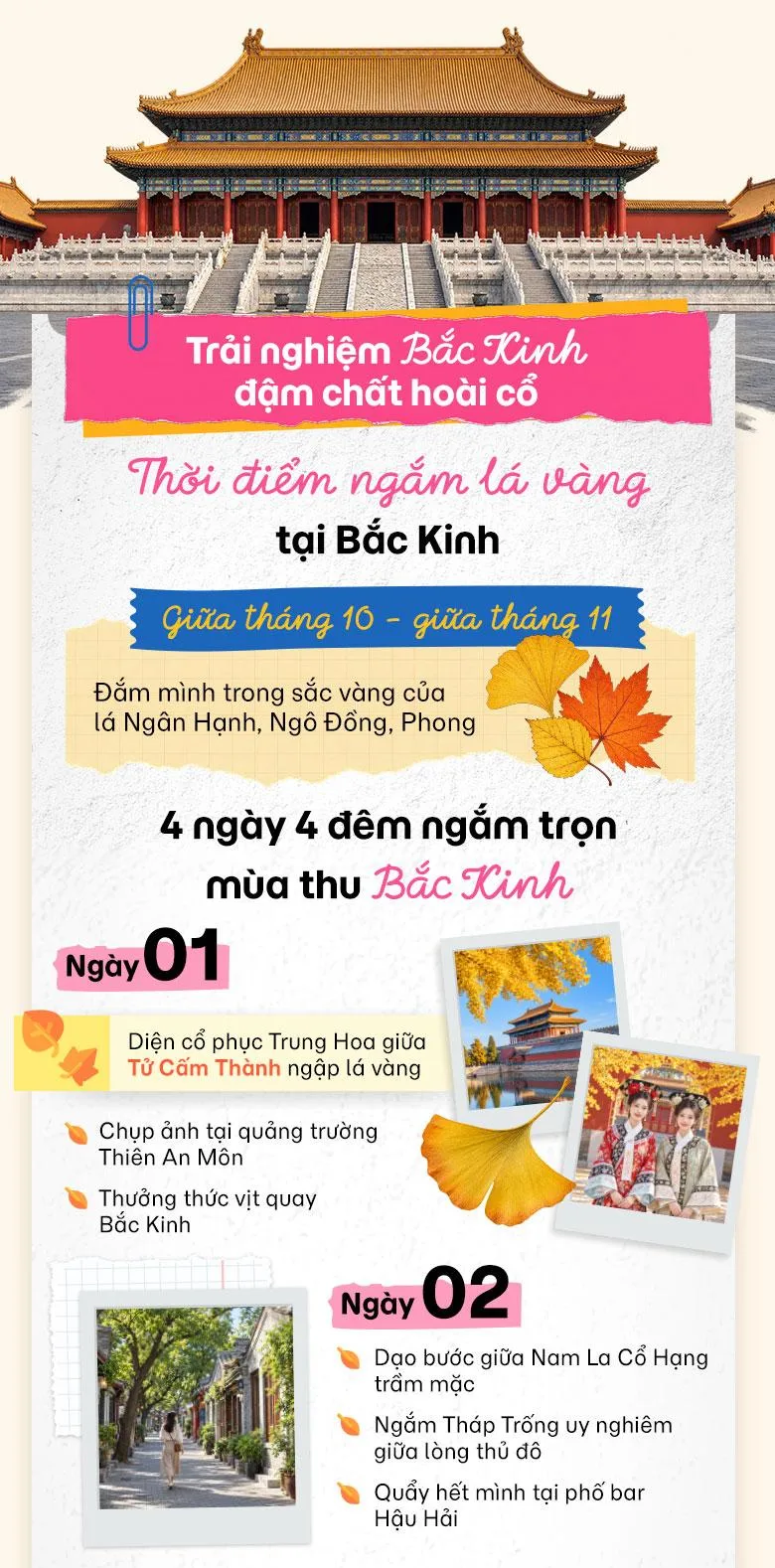 Khám phá mùa lá vàng Trung Quốc cùng MoMo Travel!