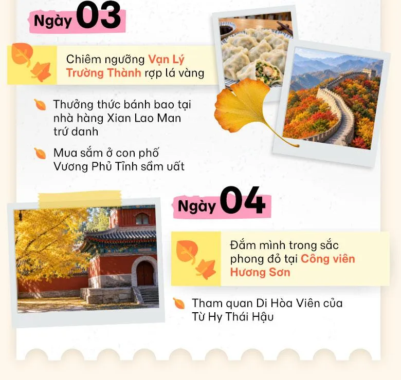 Khám phá mùa lá vàng Trung Quốc cùng MoMo Travel!