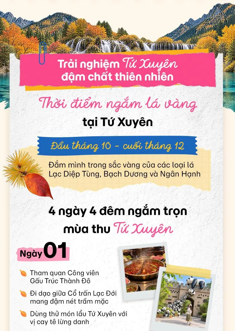 Khám phá mùa lá vàng Trung Quốc cùng MoMo Travel!