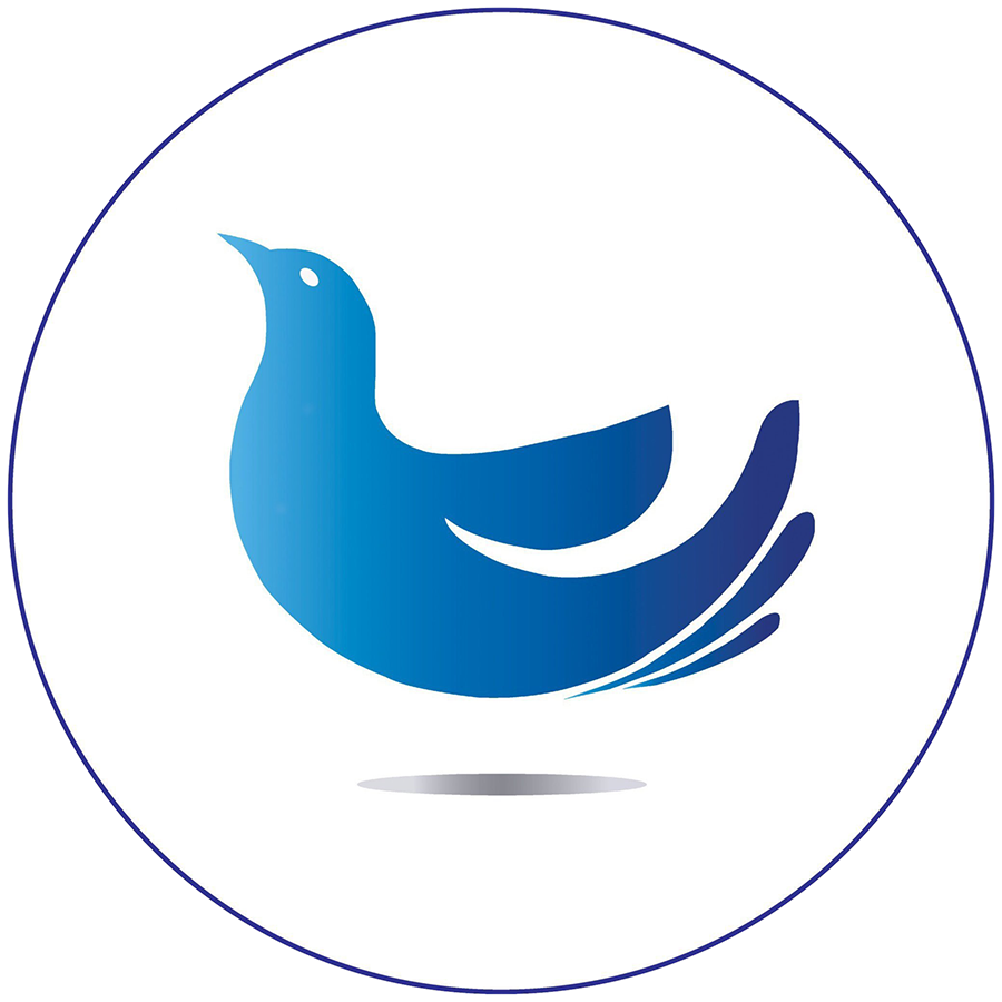 CLB Tình nguyện viên Thủ đô