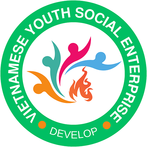 DNXH Thanh thiếu niên Việt Nam - VYSE