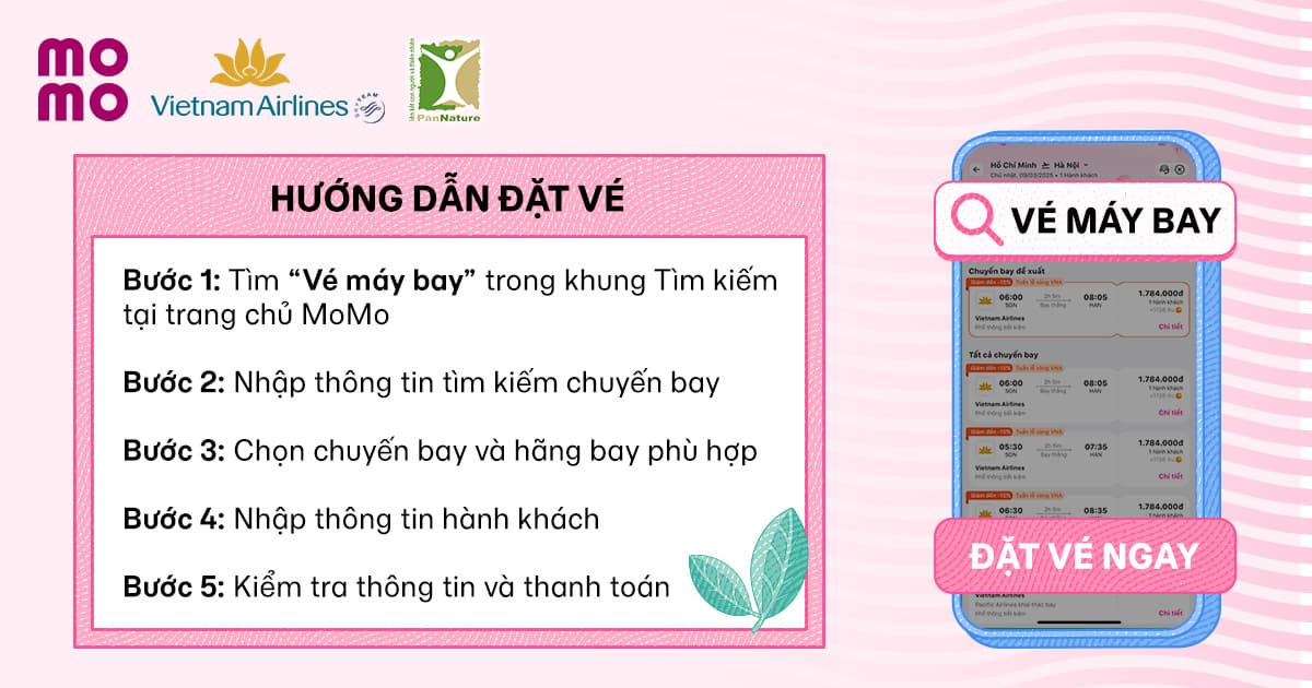 Hướng dẫn đặt vé máy bay trên MoMo Travel