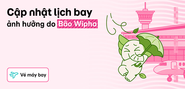 Cập nhật mới nhất của các hãng hàng không về ảnh hưởng của bão Wipha đến lịch bay nội địa
