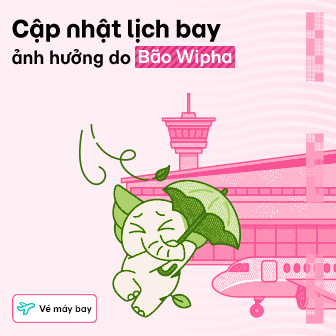 Cập nhật mới nhất của các hãng hàng không về ảnh hưởng của bão Wipha đến lịch bay nội địa