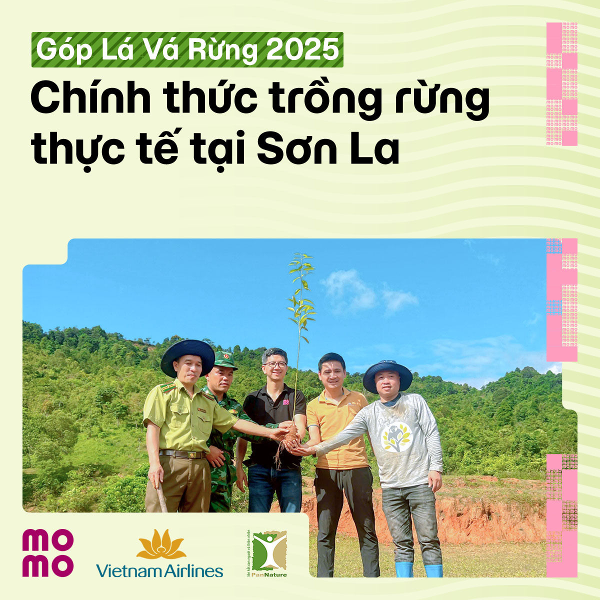“Góp Lá Vá Rừng 2025” triển khai trồng phục hồi rừng tại Sơn La với diện tích gần gấp đôi năm trước
