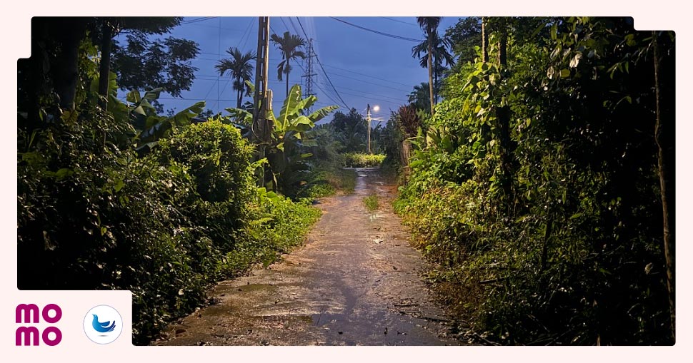 Đường điện sau khi lắp đặt sẽ hỗ trợ tổng công 3km đường được thắp sáng, phục vụ trực tiếp gần hơn 300 hộ gia đình - 2