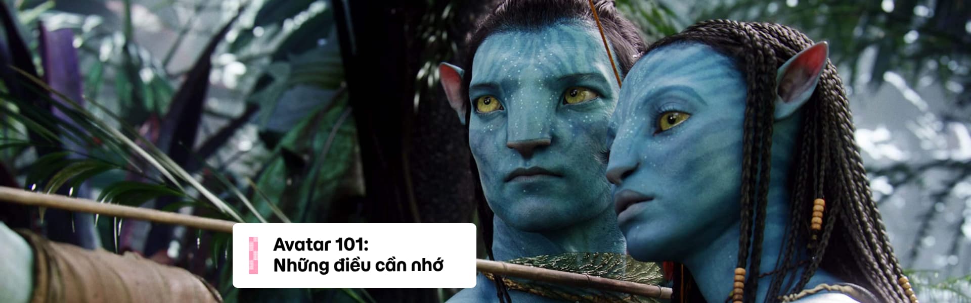 Cần Biết Gì Về Avatar trước khi xem Avatar 2: Dòng Chảy Của Nước (The Way of Water)?