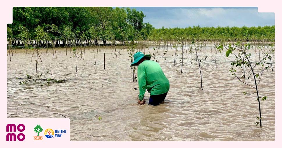 Góp Heo Vàng chung tay thúc đẩy đầu tư và tín dụng xanh vì nông nghiệp bền vững