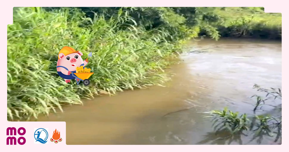 Cây cầu gỗ tạm bắc qua con suối nhỏ nối làng Tai Glai với xã Ia Pia chính là mạch sống duy nhất của người dân - 2