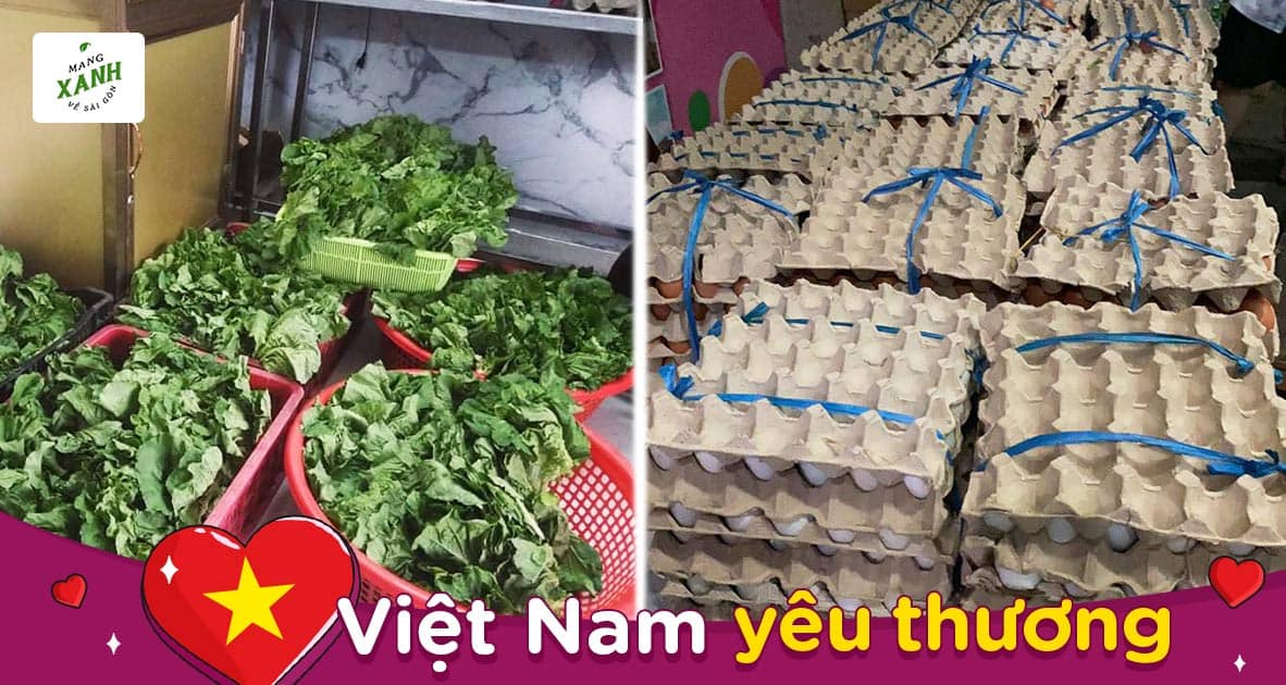 “Mang Xanh Về Sài Gòn” là quỹ hỗ trợ mua rau củ quả từ Miền Tây và Lâm đồng về cung cấp cho 17 bếp từ thiện Sài Gòn. Nông sản chuẩn Vietgap được quản lý chất lượng bởi TerraLife, vận chuyển bởi Ecotruck.
