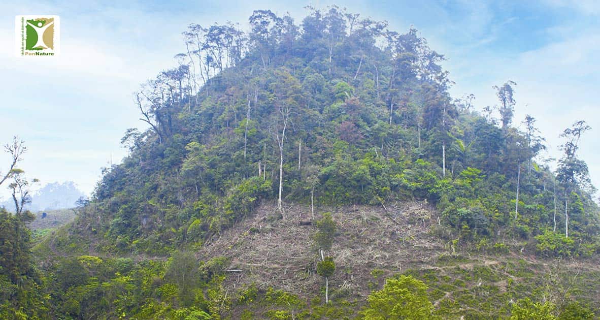 Dải rừng trên núi đá vôi tương quan với Khu BTTN Hang Kia – Pà Cò - 1