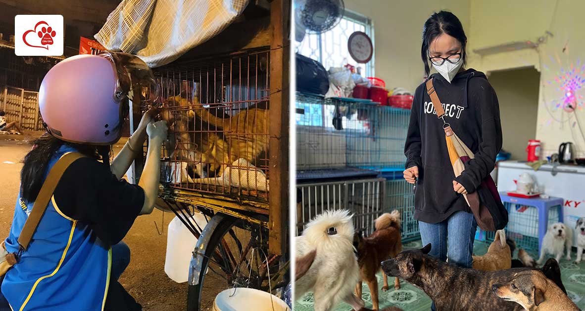 Một thực trạng đáng báo động trong thời gian dịch bệnh vừa qua tại Sài Gòn đó là có rất nhiều vật nuôi bị bỏ rơi