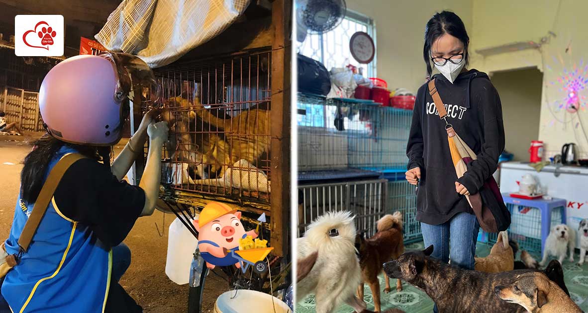Một thực trạng đáng báo động trong thời gian dịch bệnh vừa qua tại Sài Gòn đó là có rất nhiều vật nuôi bị bỏ rơ
