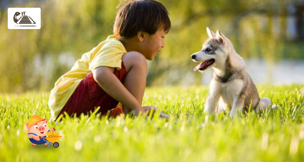 Cùng Think Playgrounds góp Heo Vàng xây dựng công viên đầu tiên dành cho cộng đồng nuôi chó tại Công viên xanh Yên Sở