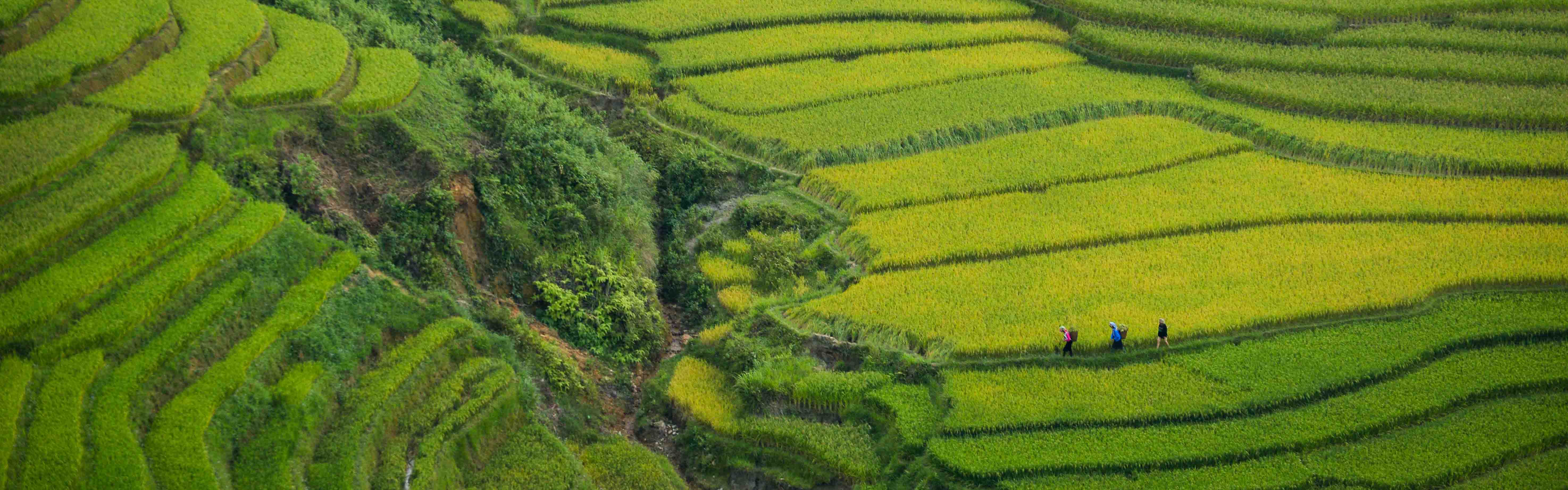 Bỏ túi kinh nghiệm du lịch Việt Nam tự túc cho lần đầu khám phá