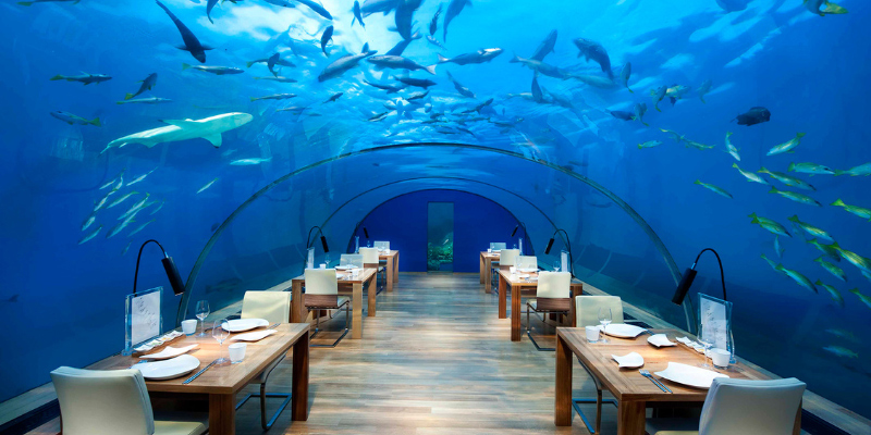 Nhà hàng dưới nước IThaa - Một địa điểm đáng tham quan trong duyến du lịch Maldives của bạn