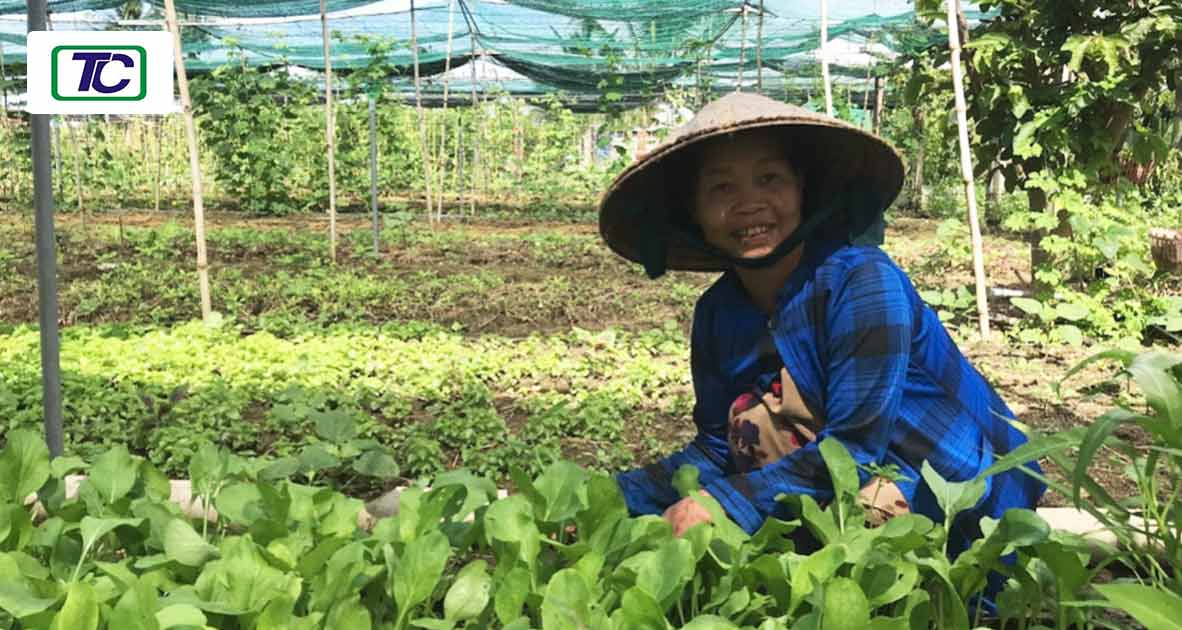 Cùng chung tay giúp đỡ các hộ gia đình nghèo Bình Thuận phát triển kinh tế