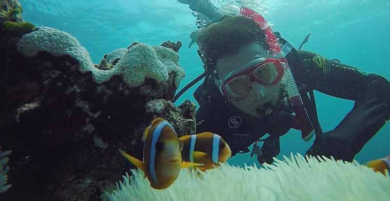 Mãn nhãn với hệ sinh thái san hô tuyệt đẹp tại biển Mỹ Khê