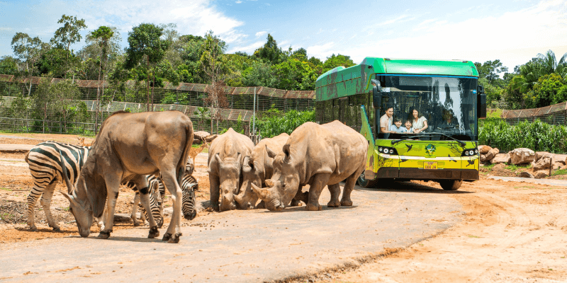 Vinpearl Safari Phú Quốc với nhiều loại động vật lạ trên thế giới