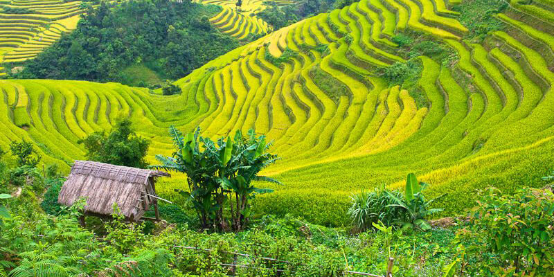 Mùa thu bao phủ dọc khắp Việt Nam với cảnh sắc chạm trúng gu phái đẹp