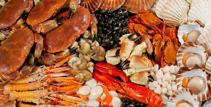 Những món hải sản tươi rói mang đậm hương vị biển cả của mảnh đất Hạ Long.