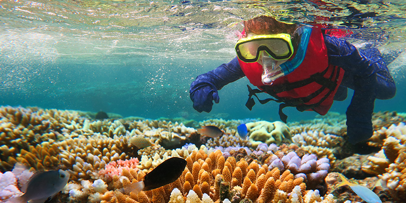 Hoạt động lặn ngắm san hô mang về doanh thu du lịch khổng lồ cho Úc.