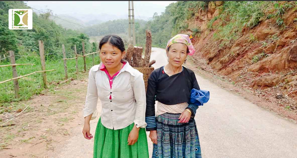 Cùng PanNature “Bớt củi giữ rừng” - Chung tay xây 200 bếp cải tiến cho đồng bào người Mông ở xã Vân Hồ, huyện Vân Hồ, tỉnh Sơn La