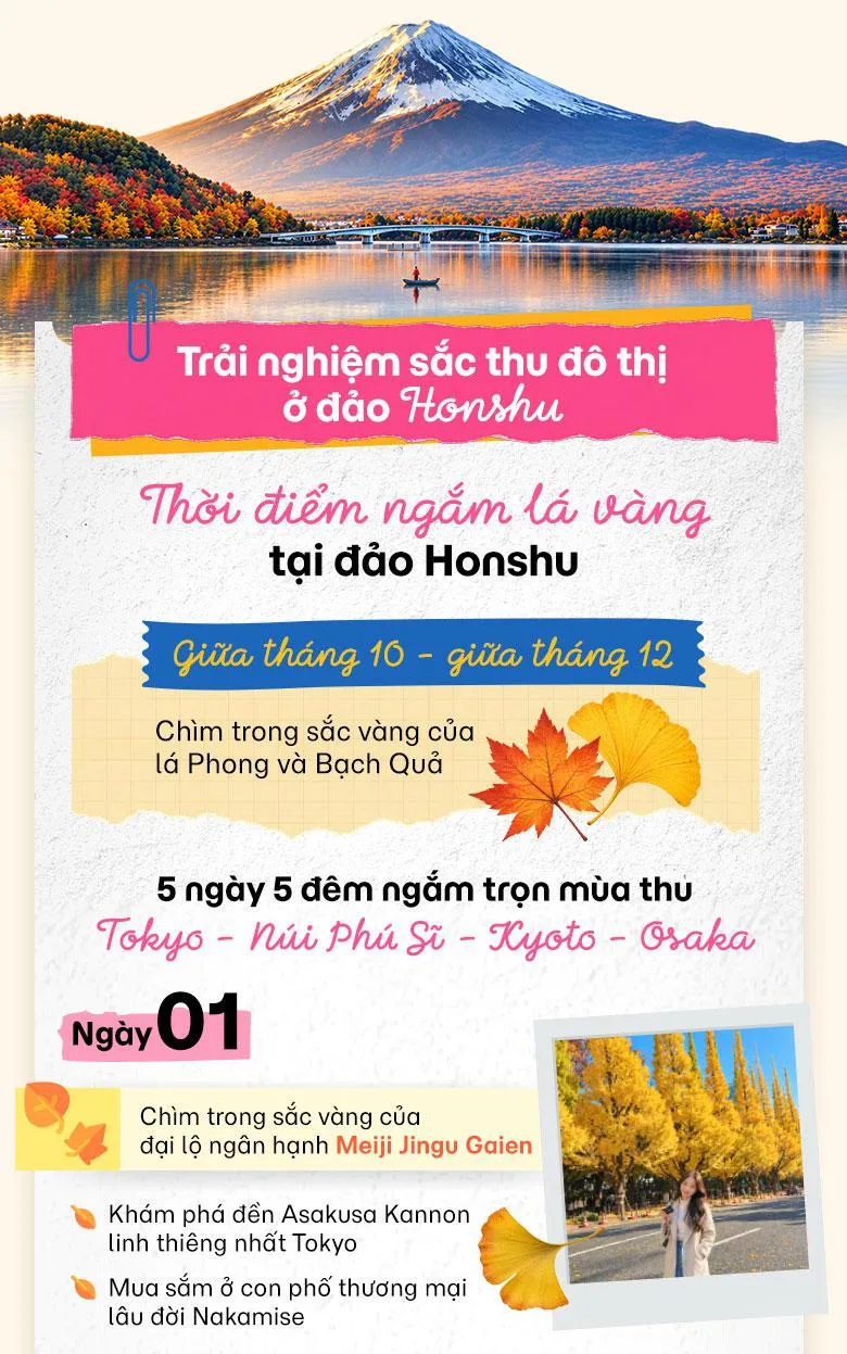 Oanh tạc mùa lá vàng Nhật Bản cùng MoMo Travel!