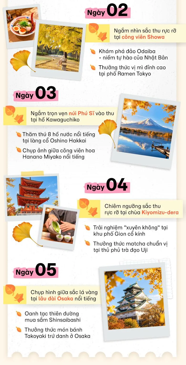 Oanh tạc mùa lá vàng Nhật Bản cùng MoMo Travel!