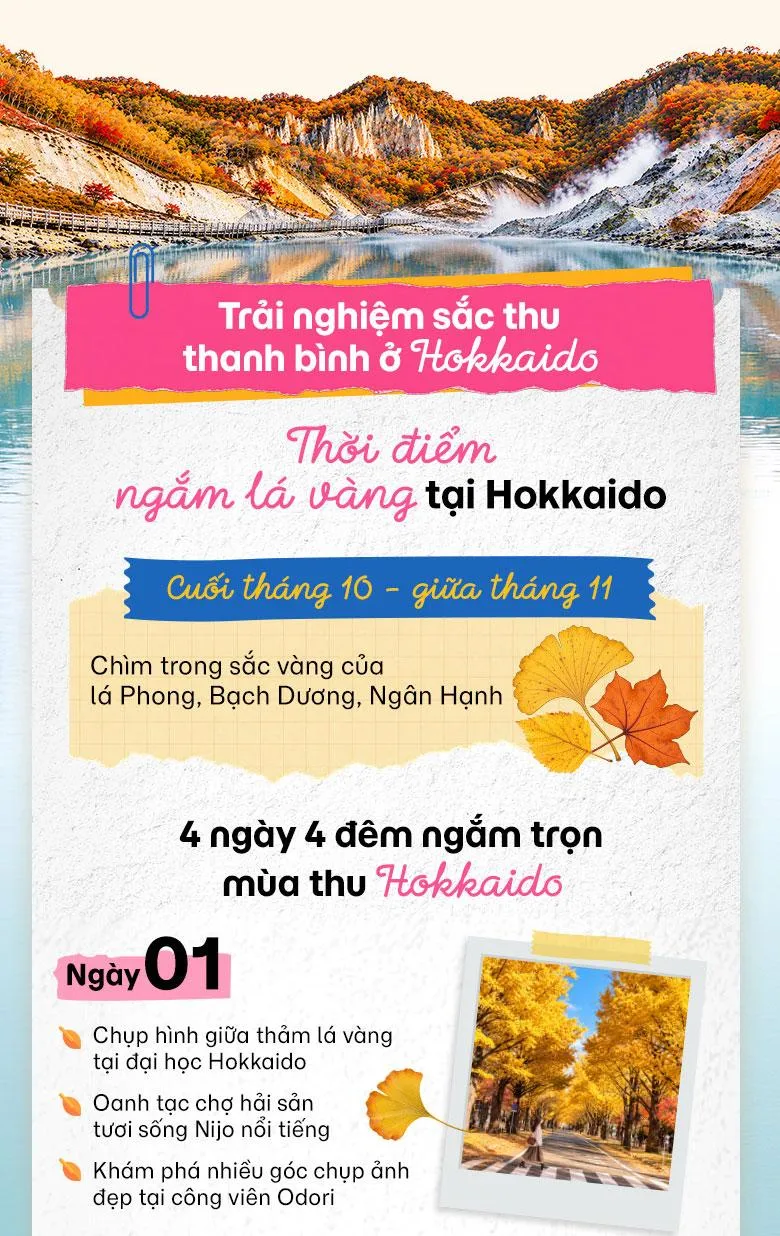 Oanh tạc mùa lá vàng Nhật Bản cùng MoMo Travel!