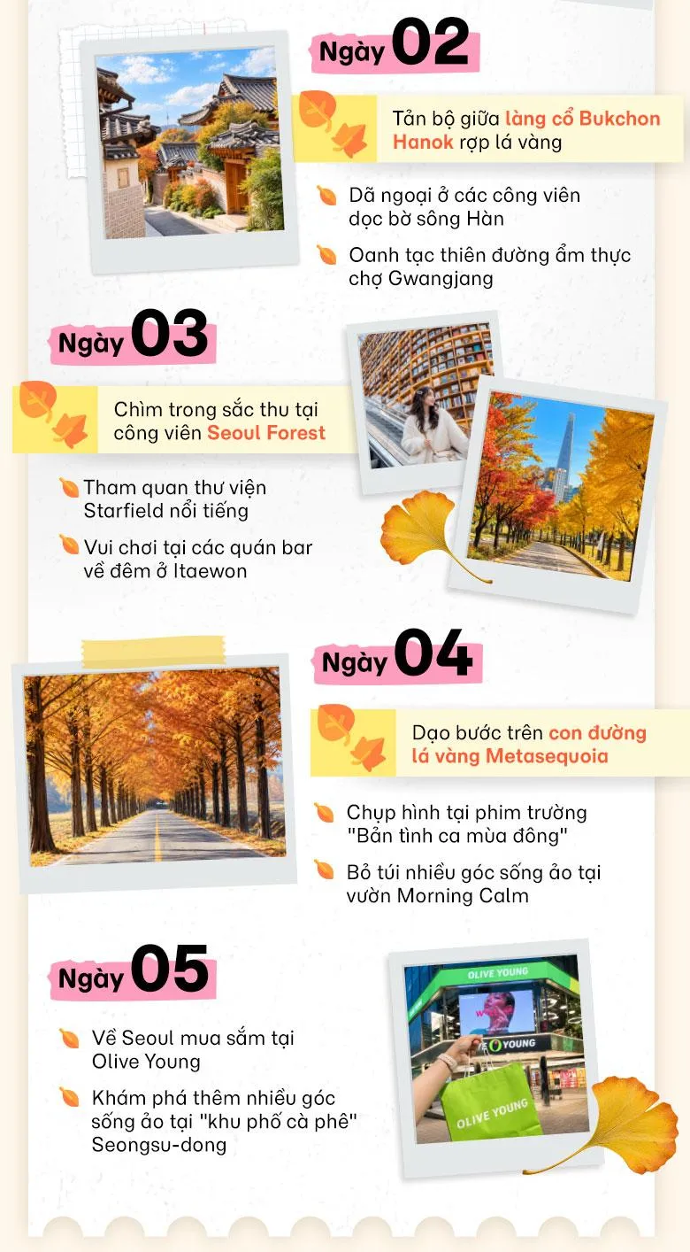 Lịch trình quốc tế mùa thu