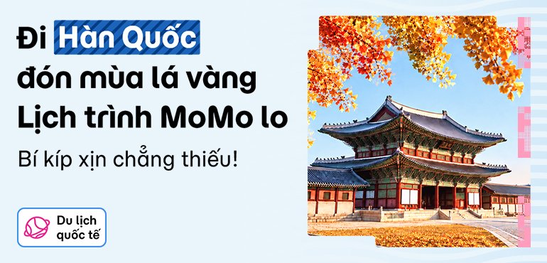 Tận hưởng mùa thu Hàn Quốc cùng MoMo Travel!