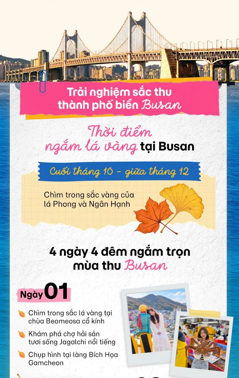 Lịch trình quốc tế mùa thu