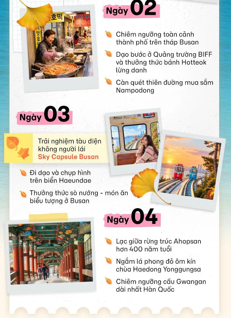 Lịch trình quốc tế mùa thu