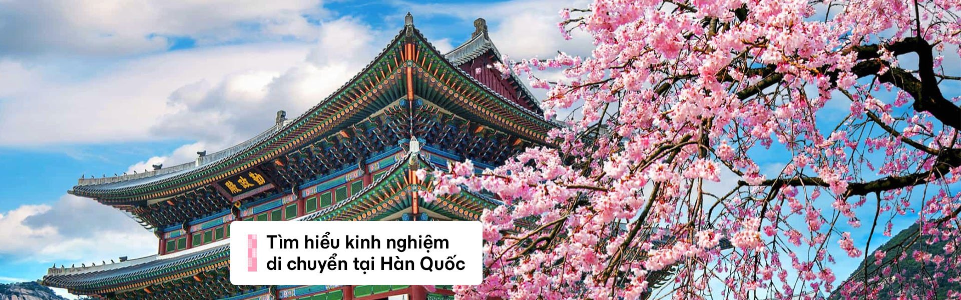 Cẩm nang di chuyển tại Hàn Quốc: Làm chủ mọi cung đường từ Subway đến tàu cao tốc KTX