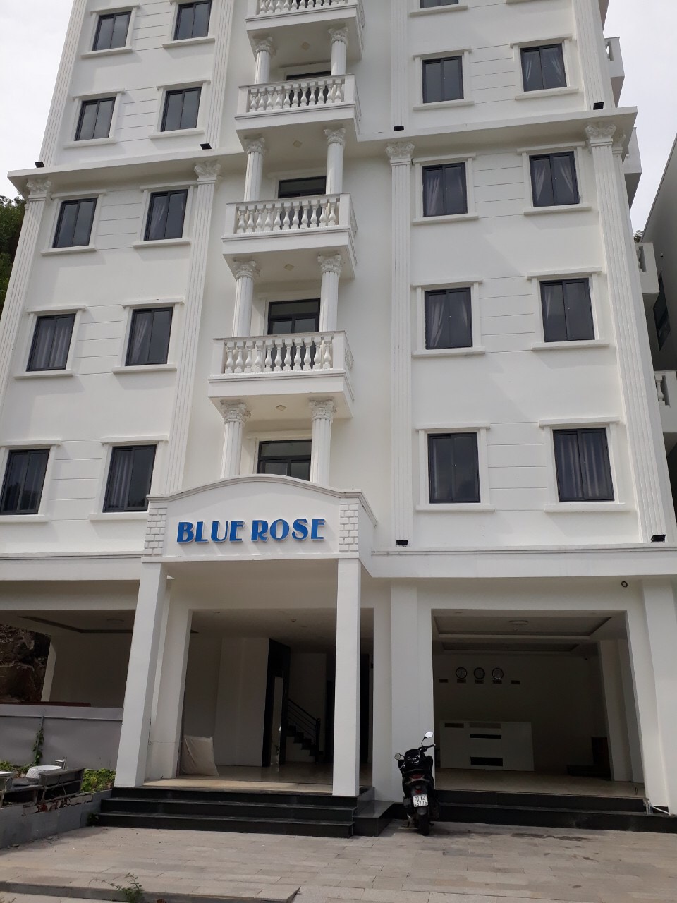 BLUE ROSE HOTEL
