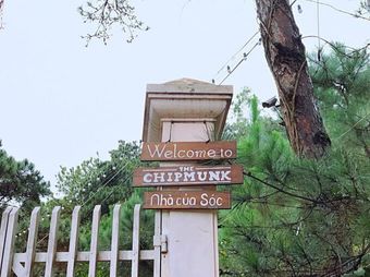 THE CHIPMUNK - NHÀ CỦA SÓC