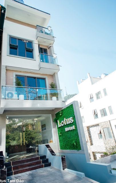LOTUS HOTEL - TAM ĐẢO