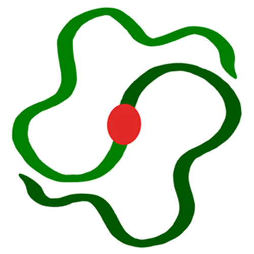 Bông Sen